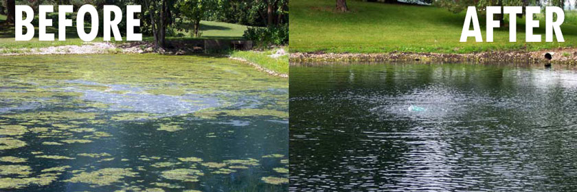 Pond Aeration Before and After